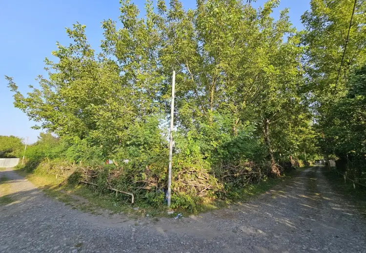 32 sot Torpaq Satılır, Qəbələ