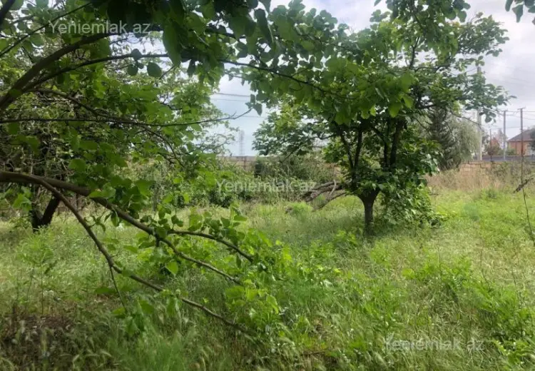 4 sot Torpaq Satılır, Novxanı, Abşeron