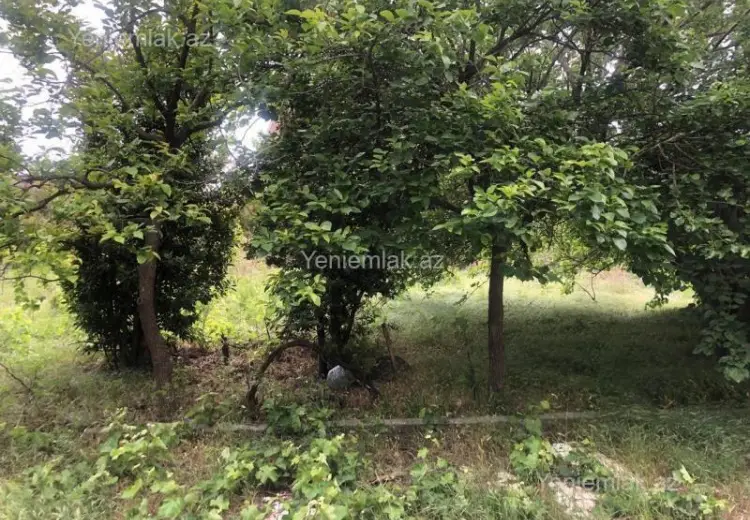 4 sot Torpaq Satılır, Novxanı, Abşeron