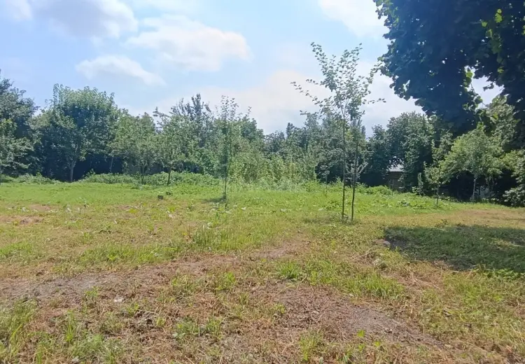 15 sot Torpaq Satılır, Qəbələ