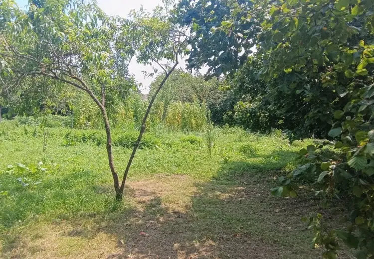 15 sot Torpaq Satılır, Qəbələ