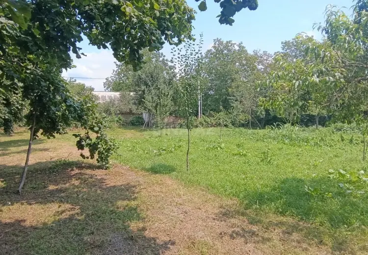 15 sot Torpaq Satılır, Qəbələ