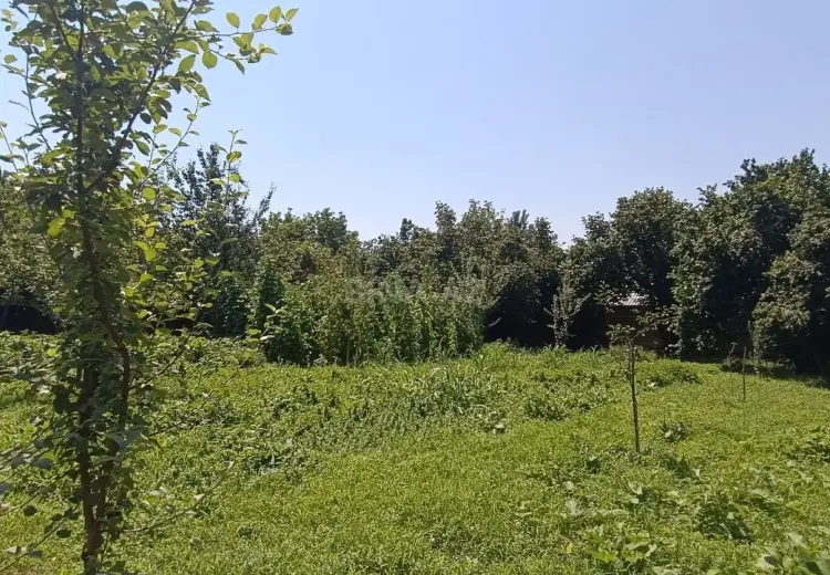 15 sot Torpaq Satılır, Qəbələ