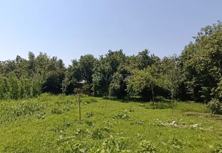 15 sot Torpaq Satılır, Qəbələ