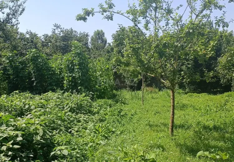 15 sot Torpaq Satılır, Qəbələ