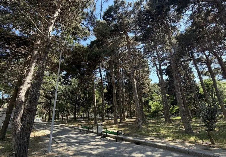 1 otaqlı mənzil Satılır, Binəqədi, Bakı