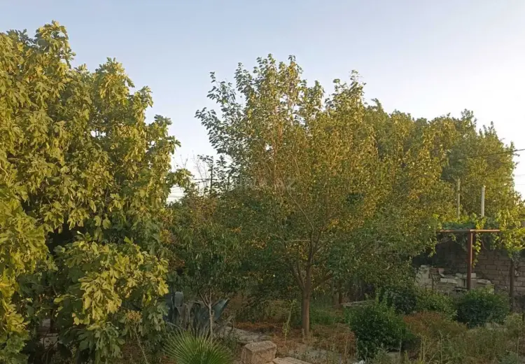 2 sot Torpaq Satılır, Binə qəs., Xəzər, Bakı