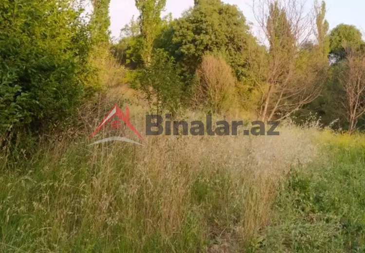 0 sot Torpaq Satılır, Şamaxı