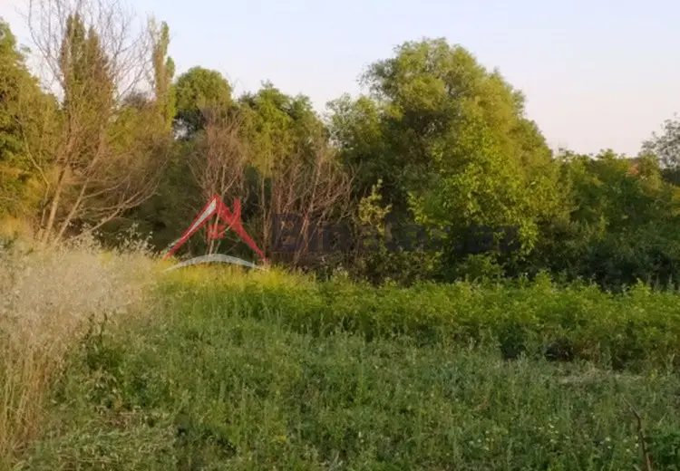 0 sot Torpaq Satılır, Şamaxı