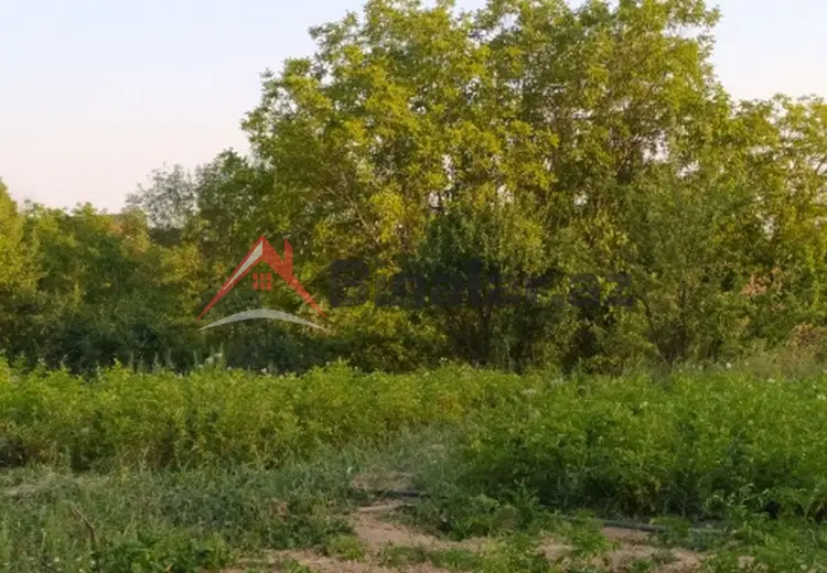0 sot Torpaq Satılır, Şamaxı