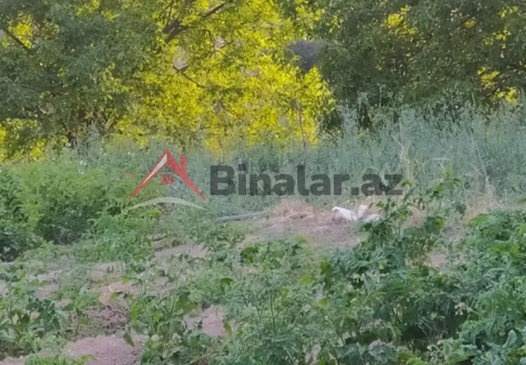 0 sot Torpaq Satılır, Şamaxı