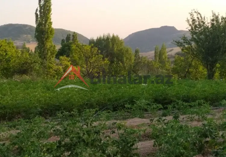 0 sot Torpaq Satılır, Şamaxı