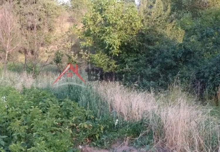 0 sot Torpaq Satılır, Şamaxı