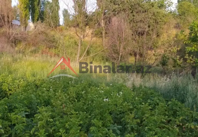 0 sot Torpaq Satılır, Şamaxı