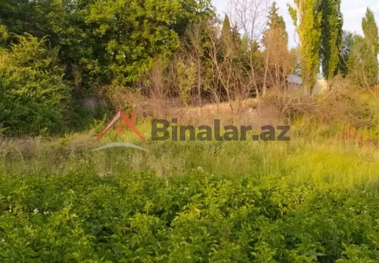 0 sot Torpaq Satılır, Şamaxı