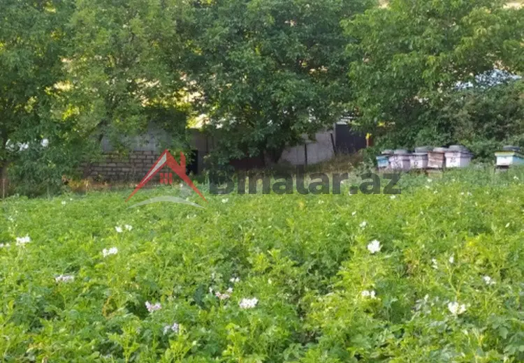 0 sot Torpaq Satılır, Şamaxı
