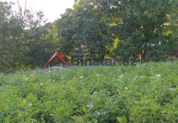 0 sot Torpaq Satılır, Şamaxı