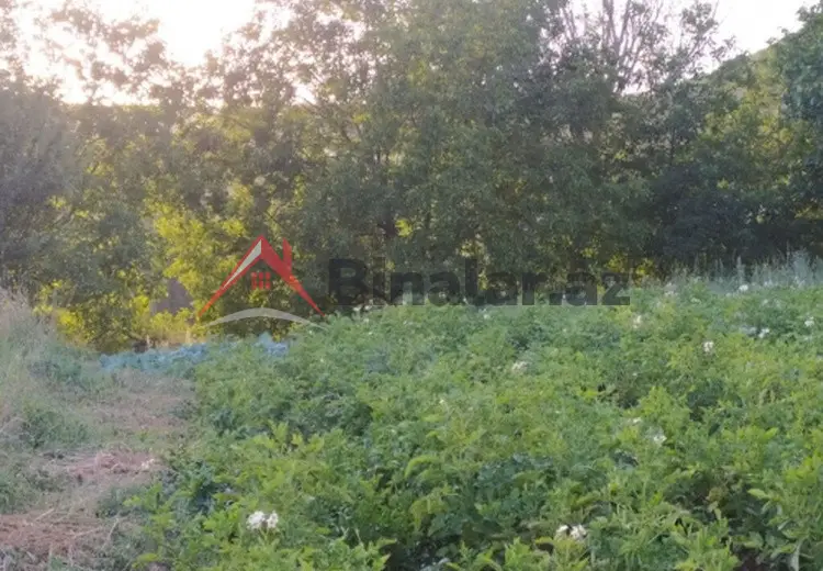 0 sot Torpaq Satılır, Şamaxı