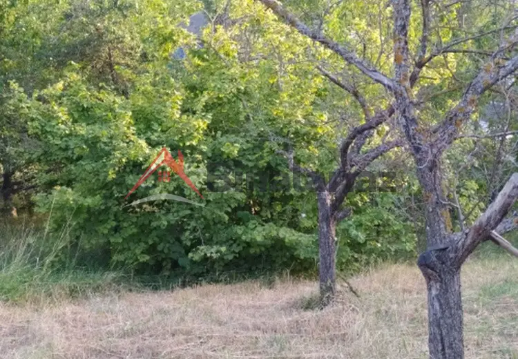 0 sot Torpaq Satılır, Şamaxı