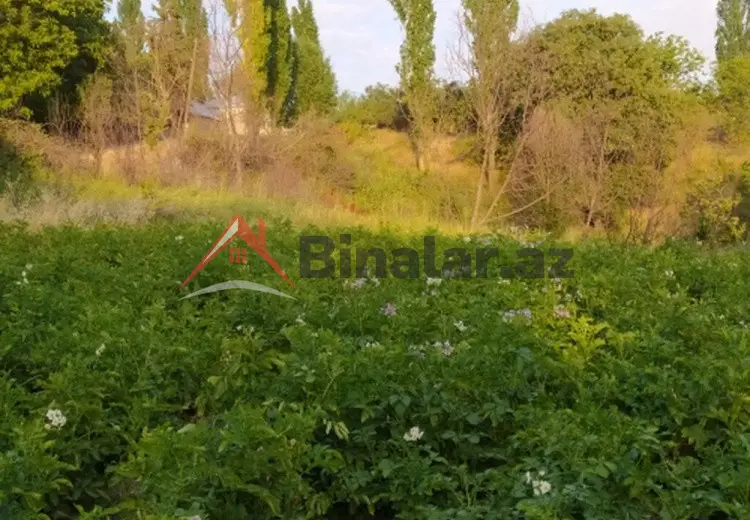 0 sot Torpaq Satılır, Şamaxı