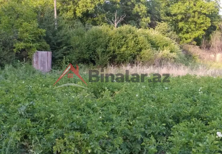 0 sot Torpaq Satılır, Şamaxı