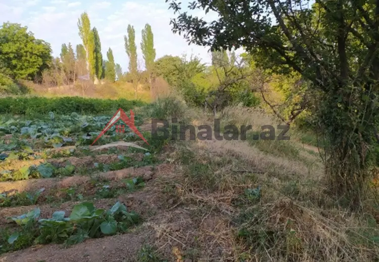 0 sot Torpaq Satılır, Şamaxı
