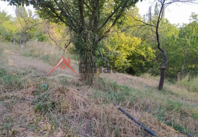 0 sot Torpaq Satılır, Şamaxı