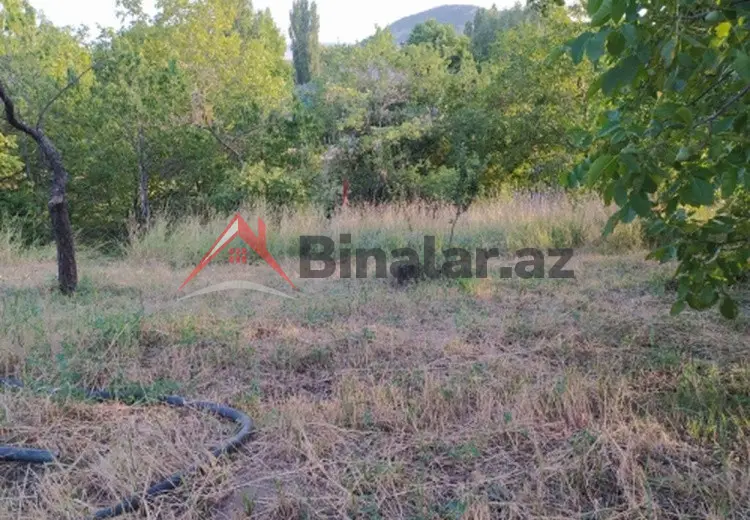 0 sot Torpaq Satılır, Şamaxı
