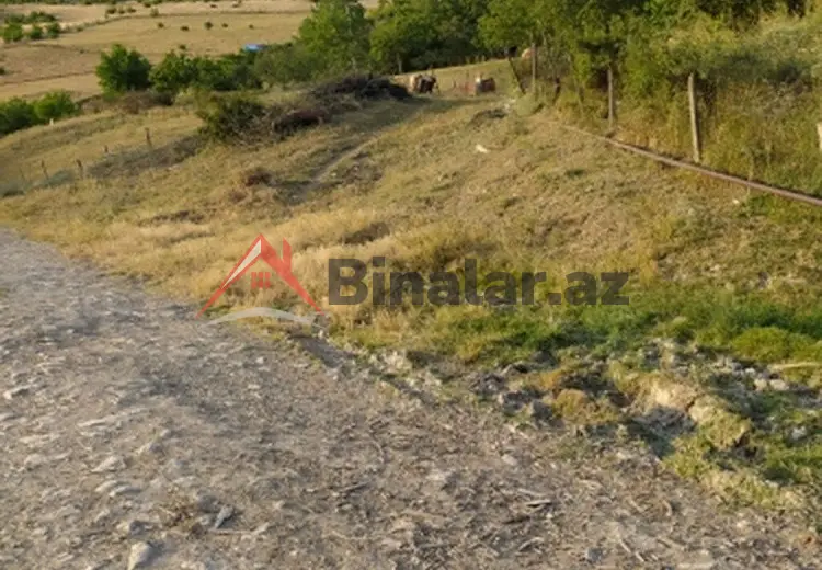 0 sot Torpaq Satılır, Şamaxı