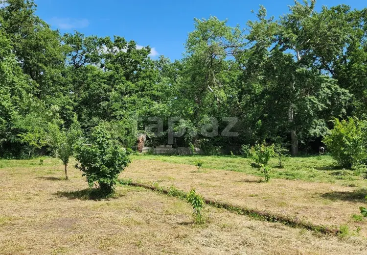 0 m² Obyekt / Ofis , Xudat