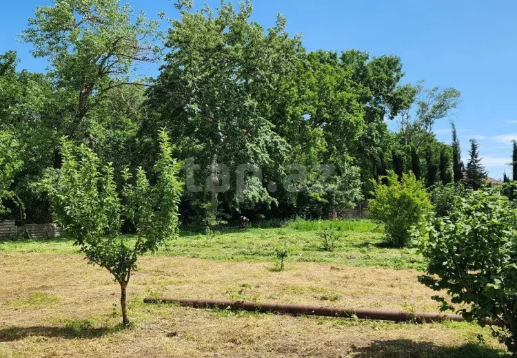 0 m² Obyekt / Ofis , Xudat