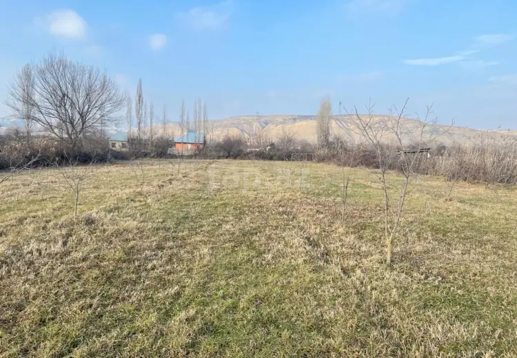 0 m² Obyekt / Ofis , Göyçay