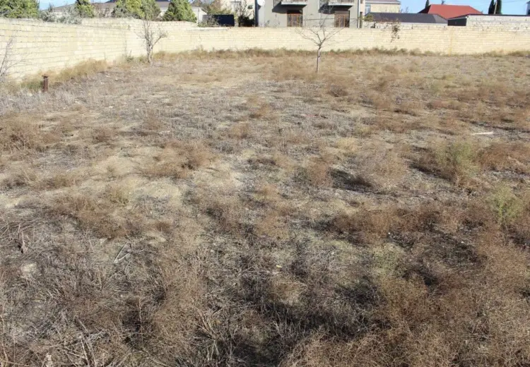 1000 sot Torpaq Satılır, Fatmayı, Abşeron