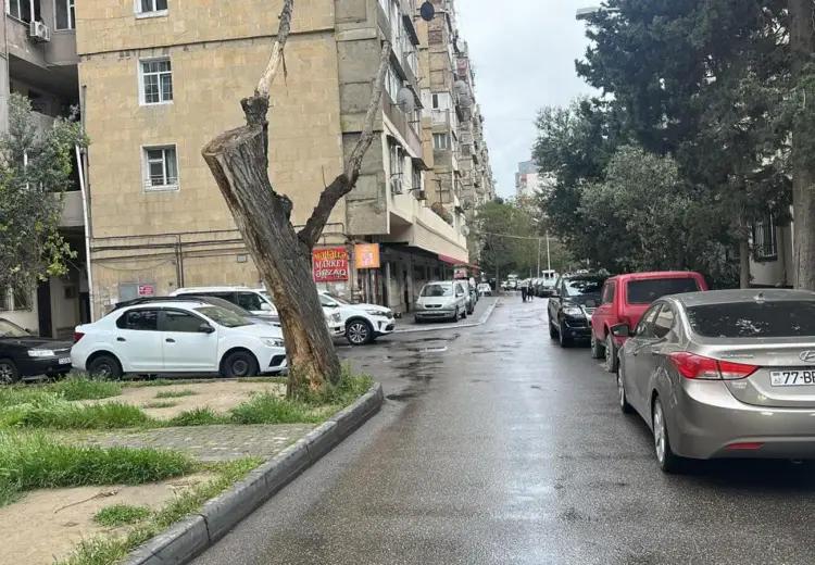 14 m² Obyekt / Ofis Satılır, Nərimanov, Bakı