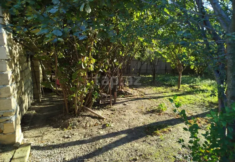 0 m² Obyekt / Ofis , Bakı