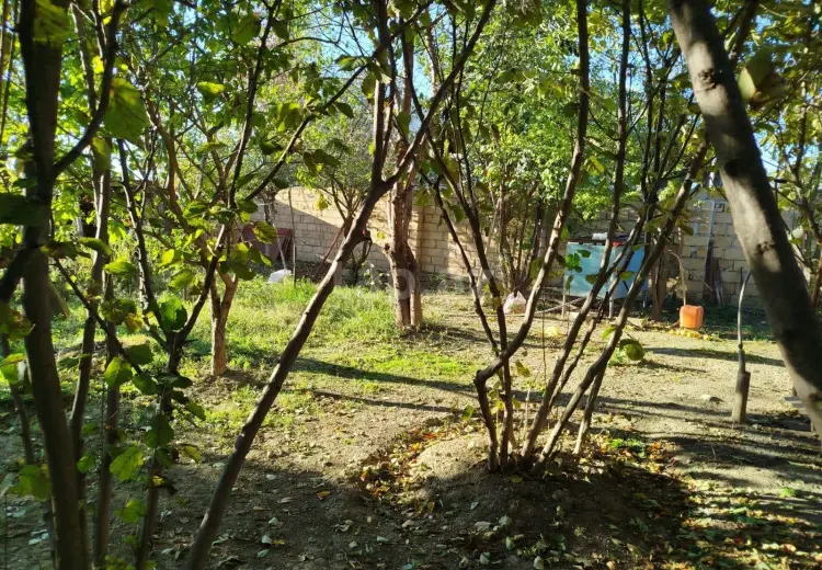 0 m² Obyekt / Ofis , Bakı