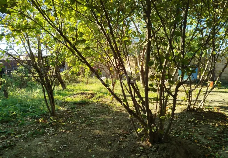 0 m² Obyekt / Ofis , Bakı