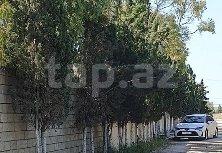 0 m² Obyekt / Ofis , Zirə, Xəzər, Bakı