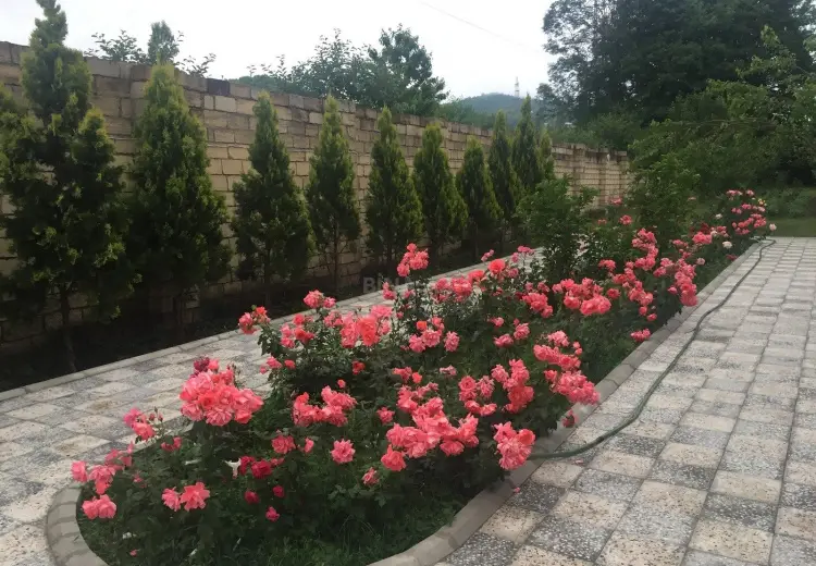 5 otaqlı mənzil Satılır, Quba