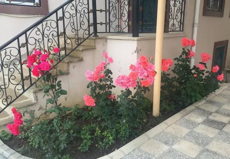 5 otaqlı mənzil Satılır, Quba