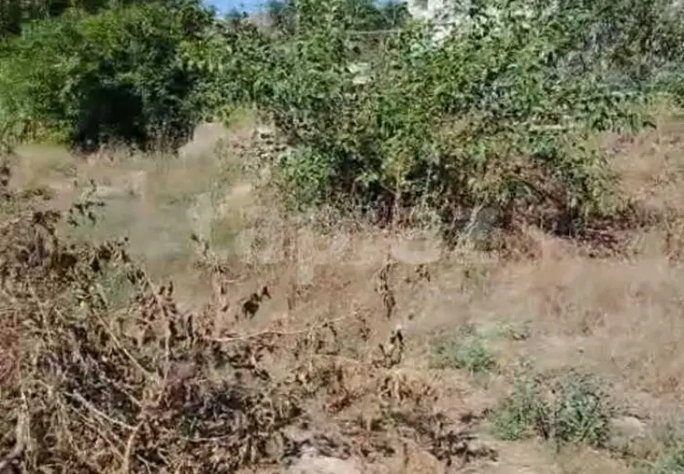 0 m² Obyekt / Ofis , Məştağa qəs., Sabunçu, Bakı