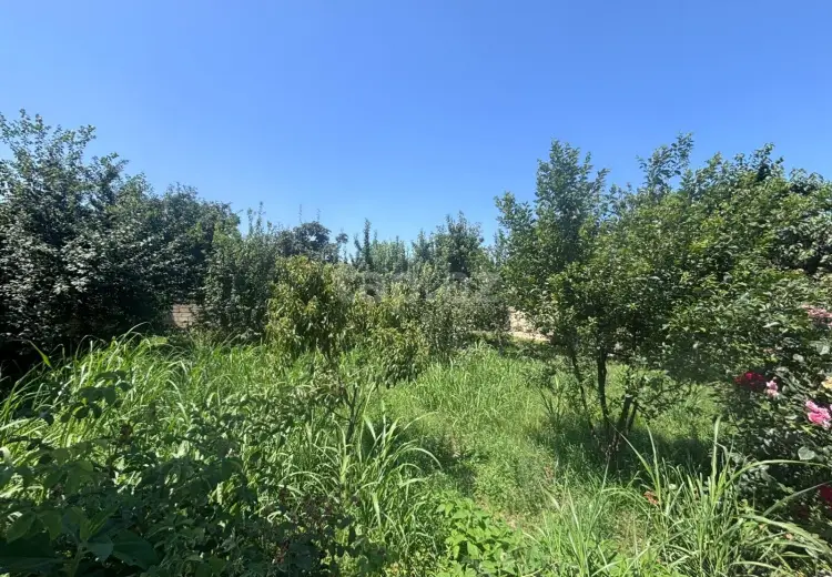 5 otaqlı mənzil , Quba