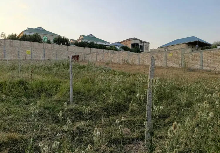 9 sot Torpaq Satılır, Şamaxı