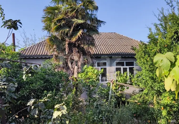 3 otaqlı mənzil , Şirvan