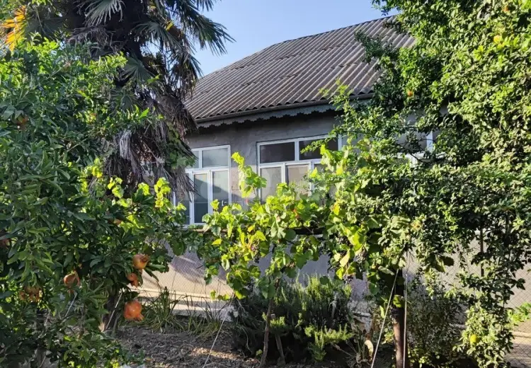 3 otaqlı mənzil , Şirvan