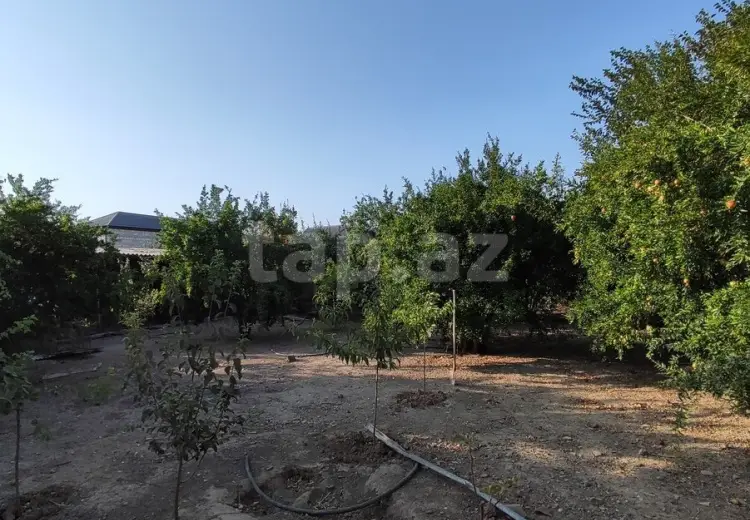 3 otaqlı mənzil , Şirvan
