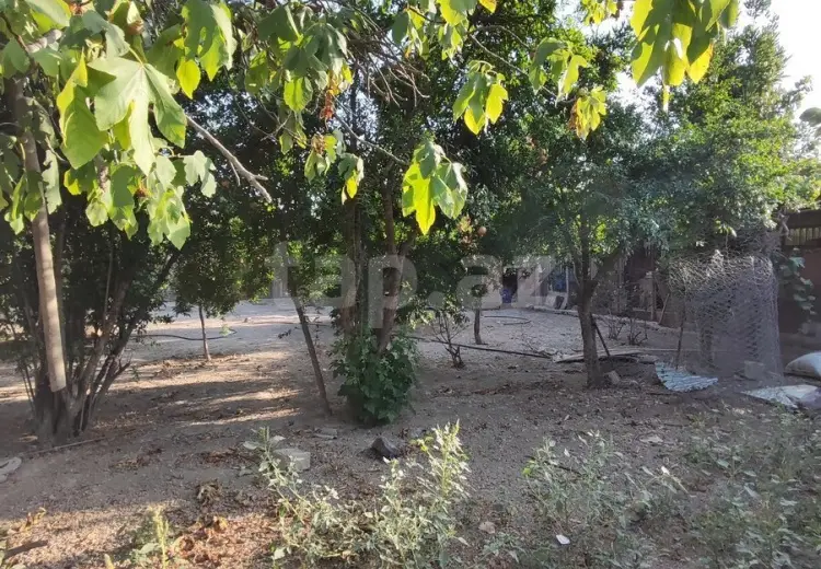 3 otaqlı mənzil , Şirvan