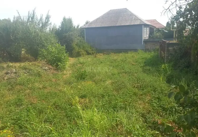 25 sot Torpaq Satılır, Qəbələ