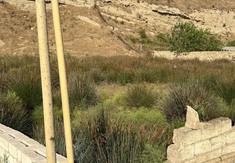 12 sot Torpaq Satılır, Novxanı, Abşeron