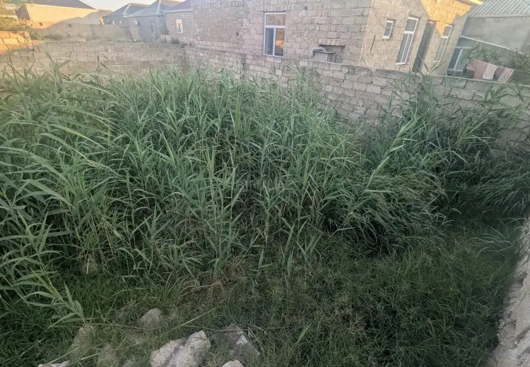 2 sot Torpaq Satılır, Binə qəs., Xəzər, Bakı
